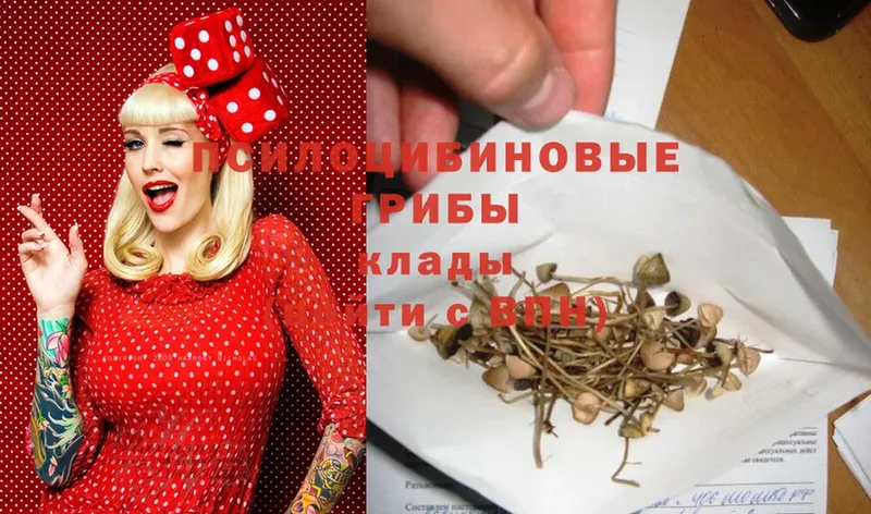 Псилоцибиновые грибы Psilocybine cubensis  сколько стоит  МЕГА вход  Карачаевск 